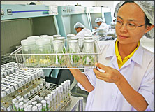Research & Development