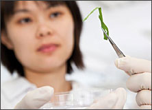 Research & Development