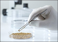 Research & Development